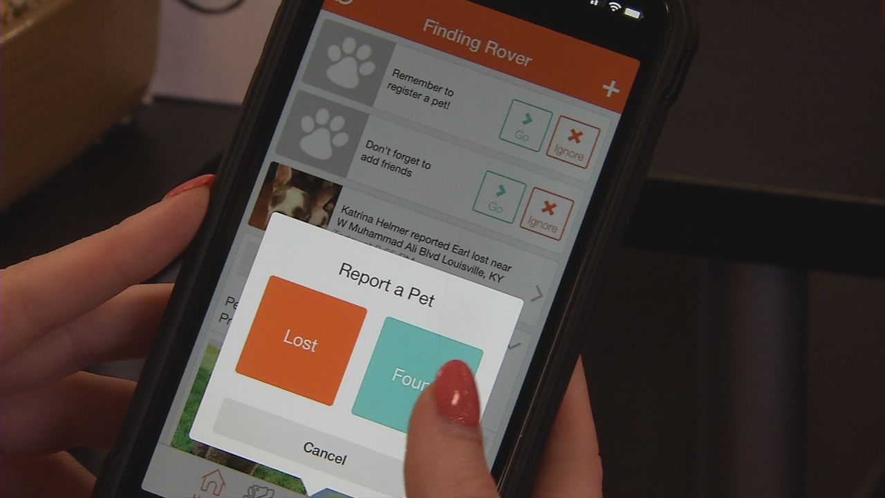 Finding Rover App